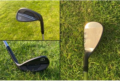 Wilson Infinite Wedges