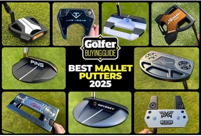 Best Mallet Putters 2025